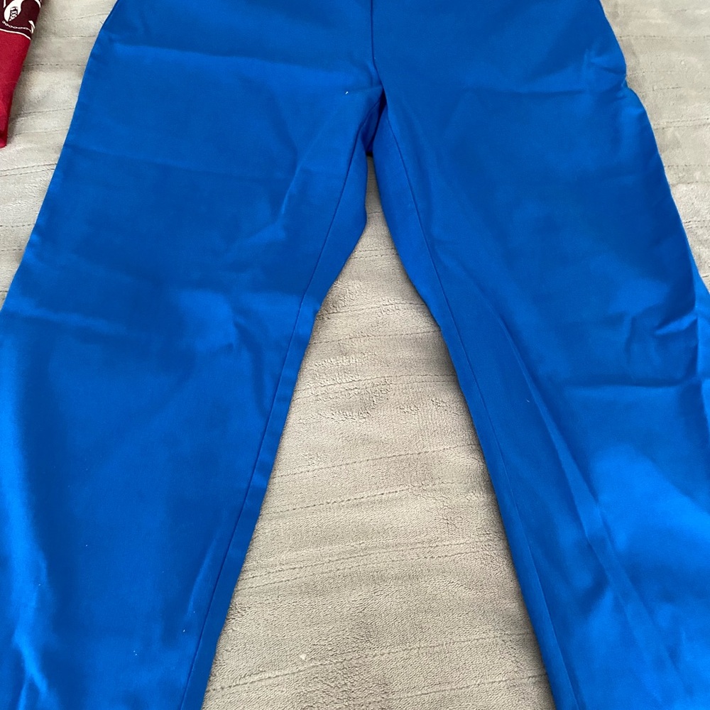 Alfani Royal Blue capris